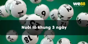 Cách Nuôi Lô 3 Ngày Chắc Thắng Từ Lô Thủ Thâm Niên We88